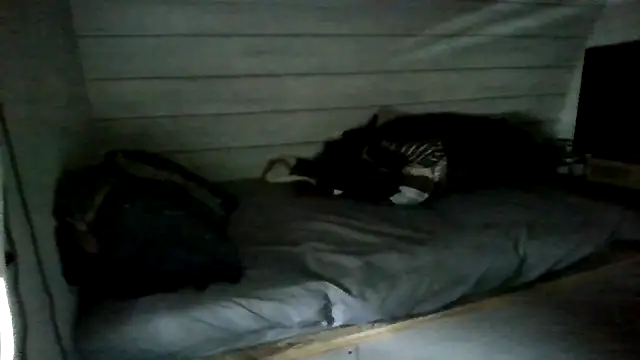 ThisGuy42o online show from July 2026 04:25:02 PM