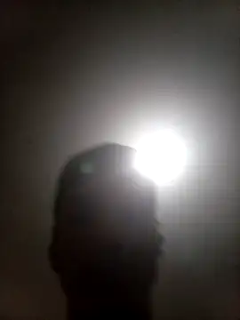 bxbicho20 online show from June 2026 03:34:02 AM