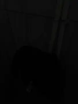 reimanp online show from July 2026 05:17:01 PM