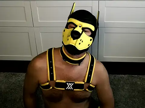 WildyLynx online show from July 2026 05:17:01 PM