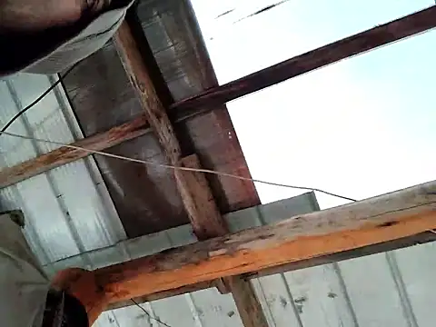 Snapshot of robredoj chatting on February 2026 12:31:01 PM robredoj online show from February 2026 12:31:01 PM