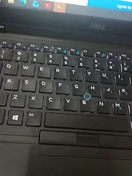 RavenMuse online show from August 2026 05:50:02 AM