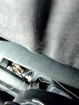 LifeLineSL online show from March 2026 06:30:02 AM