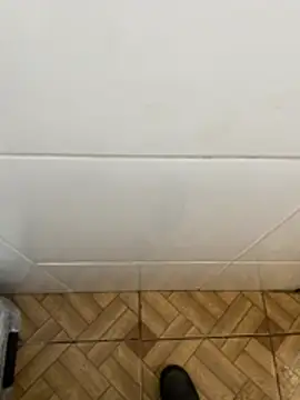 descret 19 online show from February 2026 02:55:01 PM