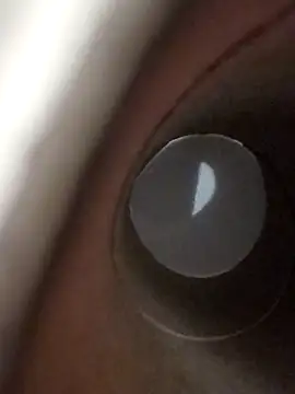 domjoab online show from January 2026 11:41:02 PM