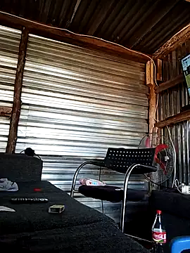 2soyte online show from April 2026 08:53:02 AM