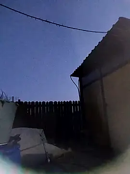 sarpe4 online show from March 2026 04:46:01 PM