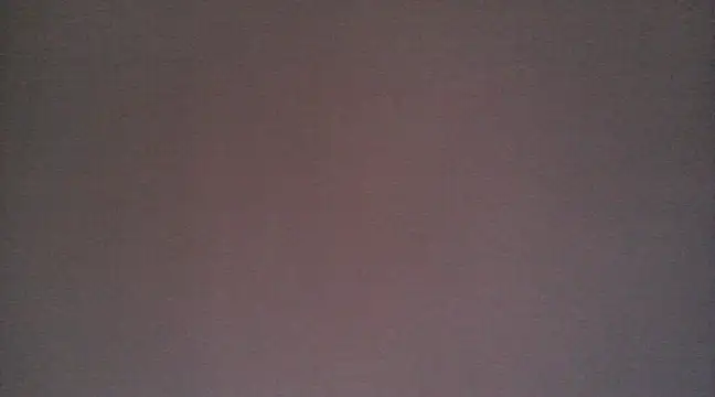 NIRVANA online show from December 2024 12:34:01 PM