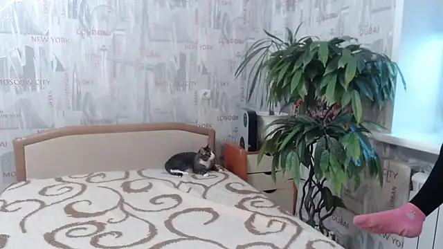 GinaQSoul online show from February 2026 11:22:01 AM