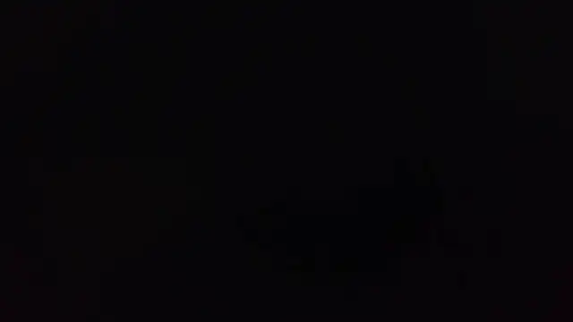 k-dong online show from March 2026 03:23:01 AM