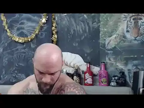 viking 30 online show from February 2026 07:51:01 AM