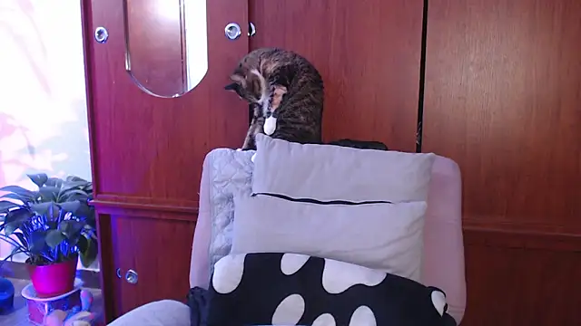 Raventh  online show from February 2026 01:07:02 PM