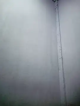 TropicalFlower online show from December 2025 10:31:01 AM