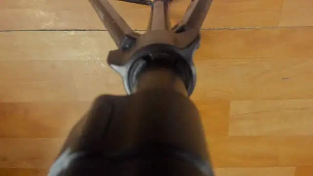 Angel Avni online show from April 2026 01:52:02 PM