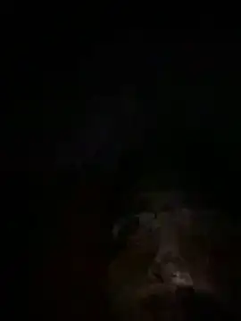 Snapshot of Eslam222s chatting on March 2026 12:06:01 AM Eslam222s online show from March 2026 12:06:01 AM