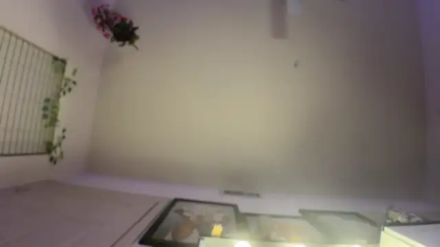 rennibear online show from December 2024 02:56:01 AM
