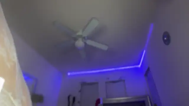 rennibear online show from December 2024 01:10:02 AM