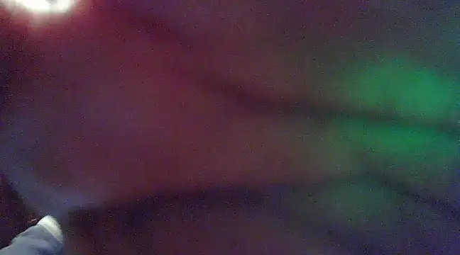 crazyneighbo r online show from December 2024 12:41:01 AM