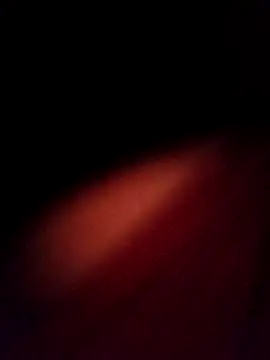 EISONREINA11 online show from October 2025 02:50:01 PM