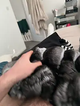 Furdale online show from March 2026 03:42:01 PM