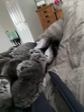 Furdale online show from March 2026 09:54:02 AM