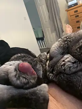 Furdale online show from April 2026 02:25:02 PM