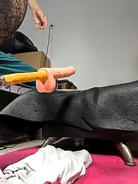 shelby kutter online show from April 2026 07:18:01 PM