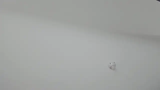 ms pickless online show from January 2025 12:16:02 PM