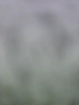 Snapshot of fuckineverett chatting on March 2025 03:48:02 PM fuckineverett online show from March 2025 03:48:02 PM