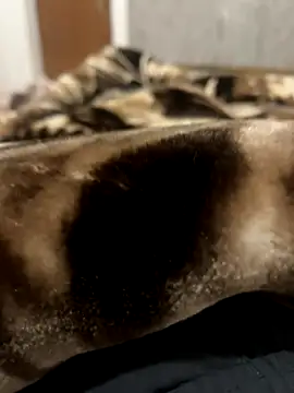 Snapshot of bigshow112 chatting on November 2025 04:22:01 AM bigshow112 online show from November 2025 04:22:01 AM