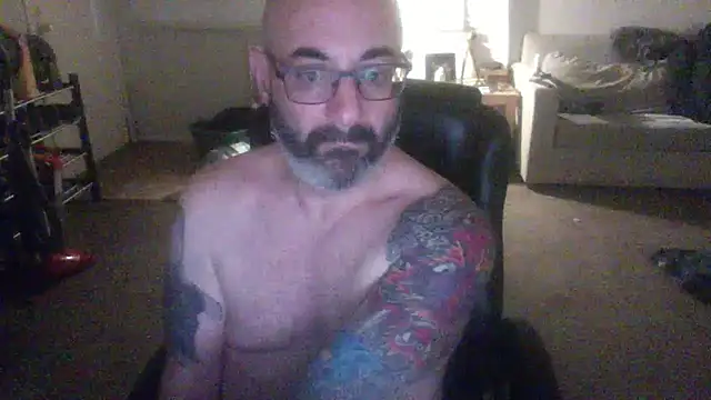 palidin1 online show from February 2026 02:53:01 AM