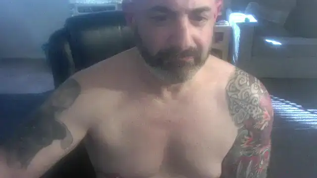 palidin1 online show from February 2026 08:14:02 PM