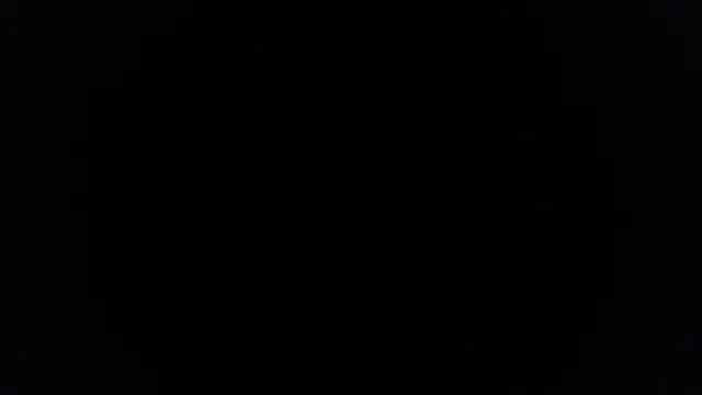 palidin1 online show from February 2026 03:49:02 PM