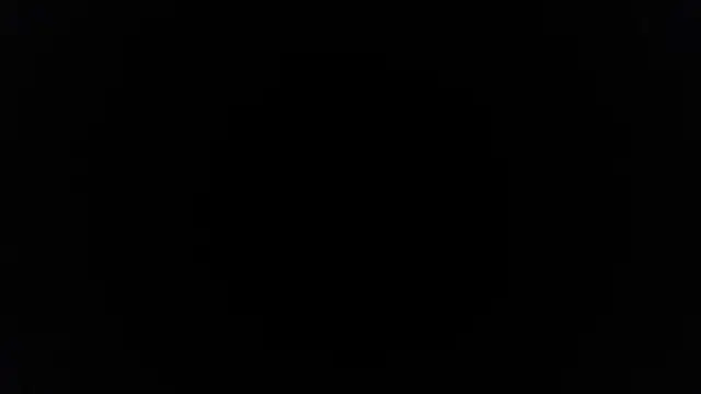 palidin1 online show from April 2026 05:54:02 AM