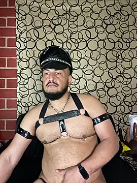 the master foal  online show from March 2026 08:14:01 PM