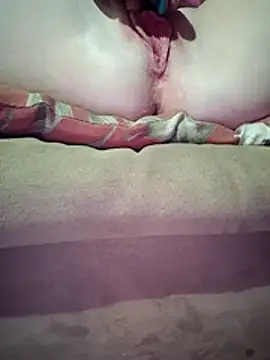 Snapshot of ToysRus24 chatting on March 2026 11:49:02 AM ToysRus24 online show from March 2026 11:49:02 AM