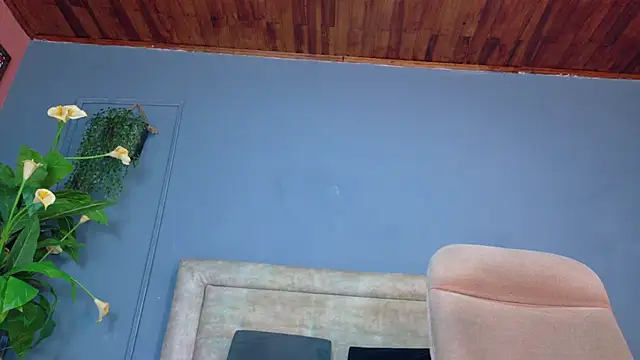 nicol snow online show from April 2026 01:19:01 PM