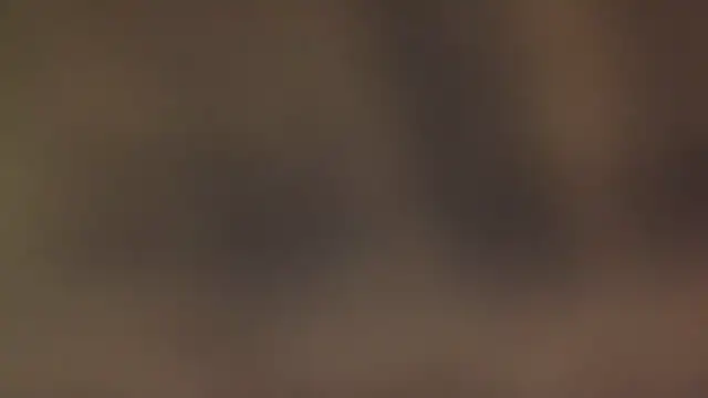 leccaleccafiga online show from March 2026 10:40:01 PM