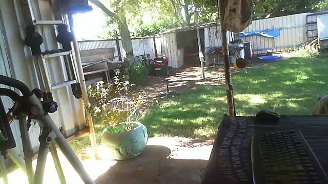 herbie010666 online show from April 2026 04:07:02 AM