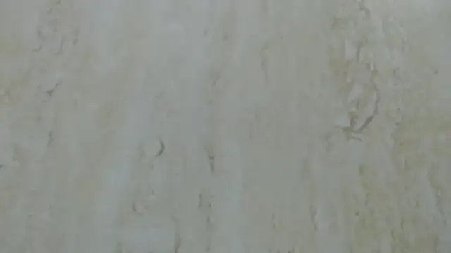 Crazy team  online show from December 2024 03:31:02 PM