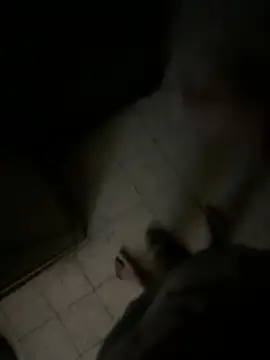 Snapshot of Dedoow chatting on April 2026 10:44:01 PM Dedoow online show from April 2026 10:44:01 PM