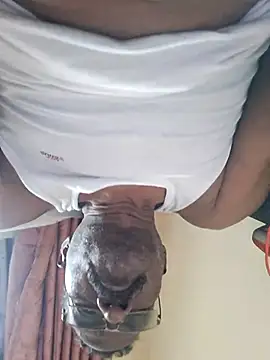 Maddymissile online show from March 2026 08:40:01 AM