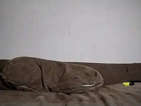 247Srokin online show from March 2026 08:31:02 AM