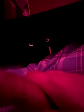 Snapshot of Sendnud3s69696 chatting on December 2024 08:52:01 AM Sendnud3s69696 online show from December 2024 08:52:01 AM