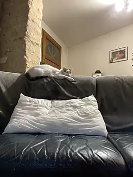 steph19x5 online show from March 2026 06:19:01 AM