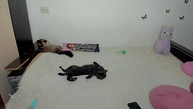 NataliEvans online show from June 2026 10:14:01 PM