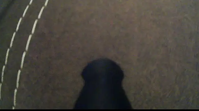 Dzutt online show from January 2025 05:33:01 PM