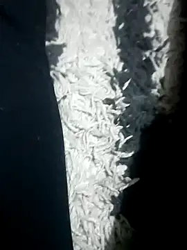 nursenight online show from March 2026 10:14:01 PM