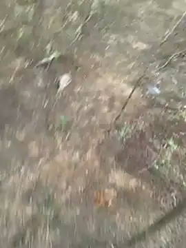 Gopal1243 online show from March 2026 01:11:02 AM