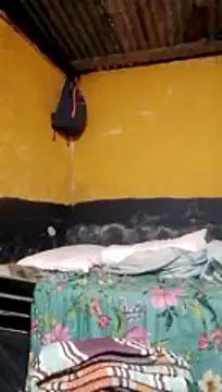 LULE37587001 online show from March 2026 08:37:01 PM